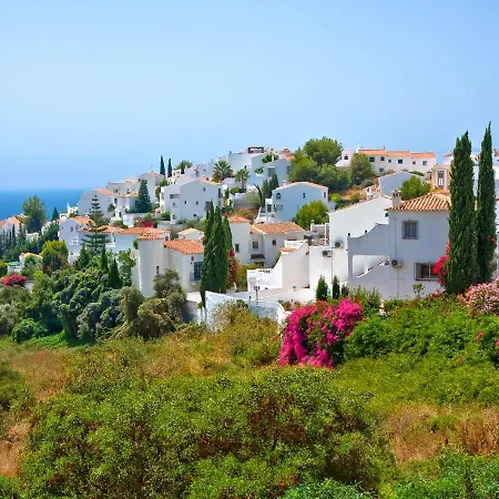 Royal Palm * Nerja